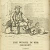 The weasel in the granary