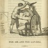 The ass and the lap-dog