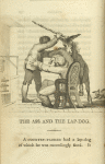 The ass and the lap-dog