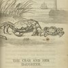 The crab and her daughter