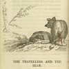 The travellers and the bear