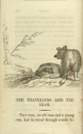 The travellers and the bear