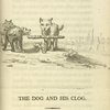 The dog and his clog