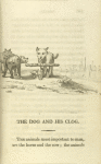 The dog and his clog