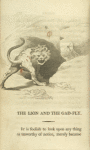 The lion and the gad-fly