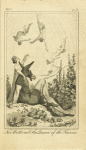 Nic Bottom & the queen of the fairies