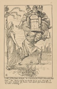 Cartoons for the cause, 1886-1896