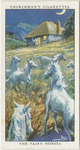 The fairy horses (Ireland).