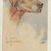 Great Dane.