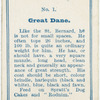Great Dane.