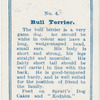 Bull terrier.
