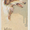 Borzois.