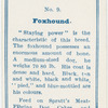 Foxhound.