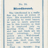 Bloodhood.