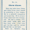 Chow-chow.