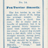 Fox terrier (smooth).