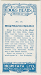 King Charles spaniel.