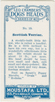 Scottish terrier.