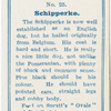 Schipperke.
