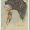 Retriever (curly).