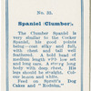 Spaniel (clumber).