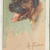 Mastiff.