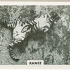 Ranee.