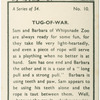 Tug-of-war.