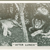 "After lunch."
