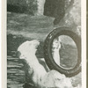 A "tyred" polar bear.