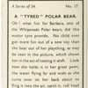 A "tyred" polar bear.