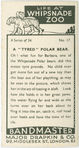 A "tyred" polar bear.