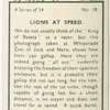Lions at speed.