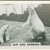 Sam and Barbara.