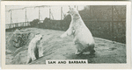 Sam and Barbara.