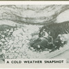 A cold-weather snapshot.