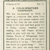 A cold-weather snapshot.