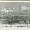 A meeting at Whipsnade.