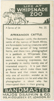 Afrikander cattle.