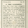 A tree kangaroo.