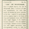 "Joe" of Whipsnade.