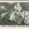 Three Whipsnade personalities.