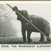Dixie the Whipsnade elephant.