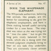 Dixie the Whipsnade elephant.