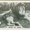 Nero at ease.