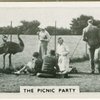 The picnic party.