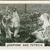 Josephine and Patricia.
