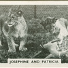 Josephine and Patricia.