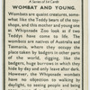 Wombat and young.