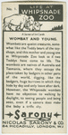 Wombat and young.